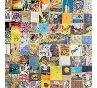 The Fresh & Onlys Early Years Anthology (CD) Album