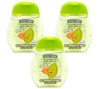 The Fruit Company Gel Detergente per le mani Melon, confezione da 3 x 45 ml, 70% alcool con aloe vera, formato tasca