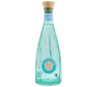 The Gardener - French Riviera Gin (Brad Pitt) 70cl