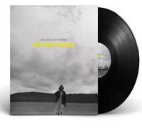 The Gaslight Anthem History Books (Vinyl LP)