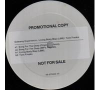 The Gateway Experience - Living Body Map (LBM) / Twin Freaks