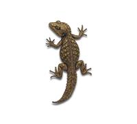 The Gecko - Ornamental Line Art Notebook: 120 pages - Softcover 6x9 inch notebook with elegant gecko illustration