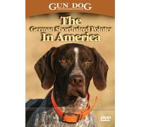 The German Shorthaired Pointer In America