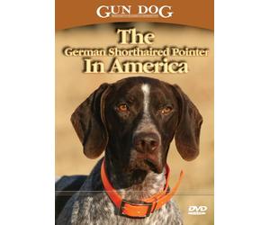 The German Shorthaired Pointer In America