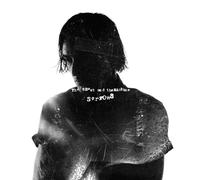 The Ghost And The Machine Sorrows (Vinyl LP)