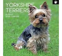 The Gifted Stationary Calendario da parete quadrato 2026, Yorkshire Terrier, calendario da appendere 16 mesi a tema animali, con 180 adesivi promemoria, planner mensile per casa o spazi creativi, 30,5