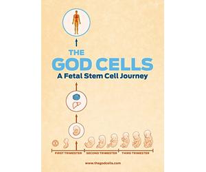 The God Cells: A Fetal Stem Cell Journey