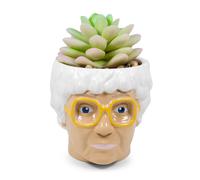 The Golden Girls Sophia Viso Mini Ceramica Fioriera Con Simil Succulente 7.6cm