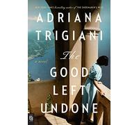 The Good Left Undone: A Novel