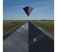 The Goose - Synrise - Limited [VINYL]
