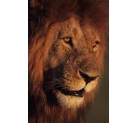 The Gospel of Immanuel: Jesus is the Lamb of God