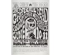 The Grateful Dead and Quicksilver Messenger Service at The Avalon Ballroom a San Francisco Retro Vintage Decor Targa in metallo Vintage Targhe di latta da parete per garage uomo grotta caffetteria bar