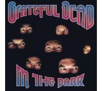 Grateful Dead - In the Dark (Silver)