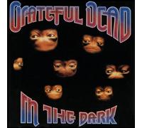 The Grateful Dead – In the Dark – Vinile LP 12" Remasterizzato (Rhino)