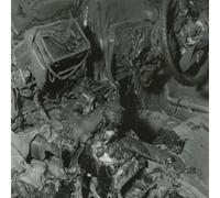 Whispering Sons The Great Calm (Vinyl LP)