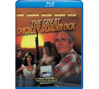 The Great Smokey Roadblock