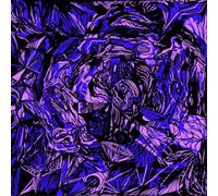 The Great Waste of Time Instead of Nothing at All (Vinyl LP) 10" Album