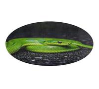 The Green Snake Tappeto rotondo morbido assorbente tappetino da bagno ingresso antiscivolo tappeto fattoria anteriore e posteriore zerbino 90 x 90 cm per camera da letto soggiorno casa decorativo