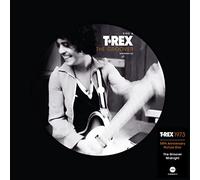 the groover (50th anniversary) picture disc