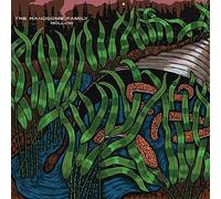 The Handsome Family Hollow (Vinyl LP) 12" Album