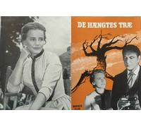 The Hanging Tree Gary Cooper Maria Schell Karl Malden 1959 programma cinemato...