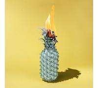 The Happy Fits Under the Shade of Green Explicit Lyrics (Vinyl LP)