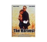 The harvest