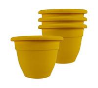 The HC Companies Fioriere, Miele, 20,3 cm (confezione da 4)