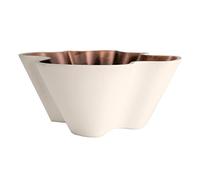 The HC Companies Vaso per piante grasse Venus da 15,2 cm - Vaso decorativo in plastica poco profondo con drenaggio, vaniglia bisque