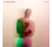 THE HIDDEN CAMERAS - BRONTO