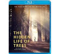 The Hidden Life of Trees