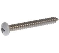 The Hillman Group 44447 8 x 7,6 cm White pan Head Phillips Sheet Metal Screw, stainless steel, 10-pack