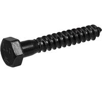 The Hillman Group 852519 5/16 x 1 - 1/5,1 cm hex lag screw- Black Finish 6-pack