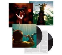The Hold Steady Heaven Is Whenever (Vinyl LP)