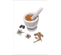 The Homer Falls Arsenic Killer