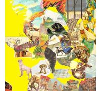 The Homesick The Big Exercise (Vinyl LP) 12" Album