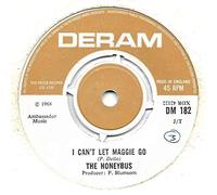 The Honeybus - I Can't Let Maggie Go