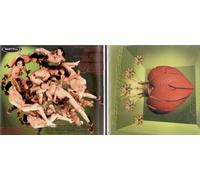 The Honeymoon Suites - Five Star