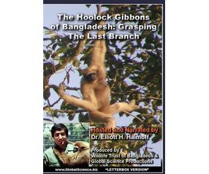 The Hoolock Gibbons of Bangladesh: Grasping the Last Branch (DVD)