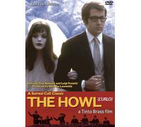 The Howl (DVD) Tina Aumont Gigi Proietti Nino Segurini Germano Longo