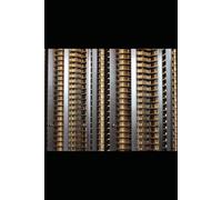 The Hundred Dollar Launch: How to Print Money with Forex