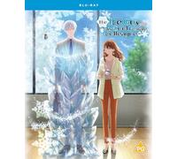 The Ice Guy and His Cool Female Colleague - The Complete Season