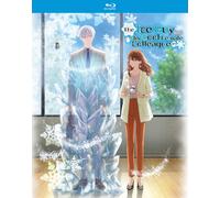 The Ice Guy and His Cool Female Colleague - The Complete Season (Blu-ray)