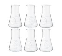 The Illusionist Distillery Bicchieri | Set da 6 Bicchieri Gin & Tonic | Premium Becher Erlenmeyer | Perfect Serve | 250ml