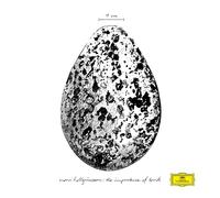 Snorri Hallgrmsson - The Importance of Birds