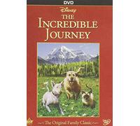 The Incredible Journey