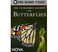 The Incredible Journey of the Butterflies (DVD)