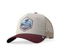 The Indian Face Cappelli Born to Ski Brown/Grey/Red