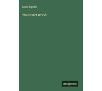 The Insect World