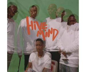 The Internet Hive Mind (Vinyl LP) 12" Album